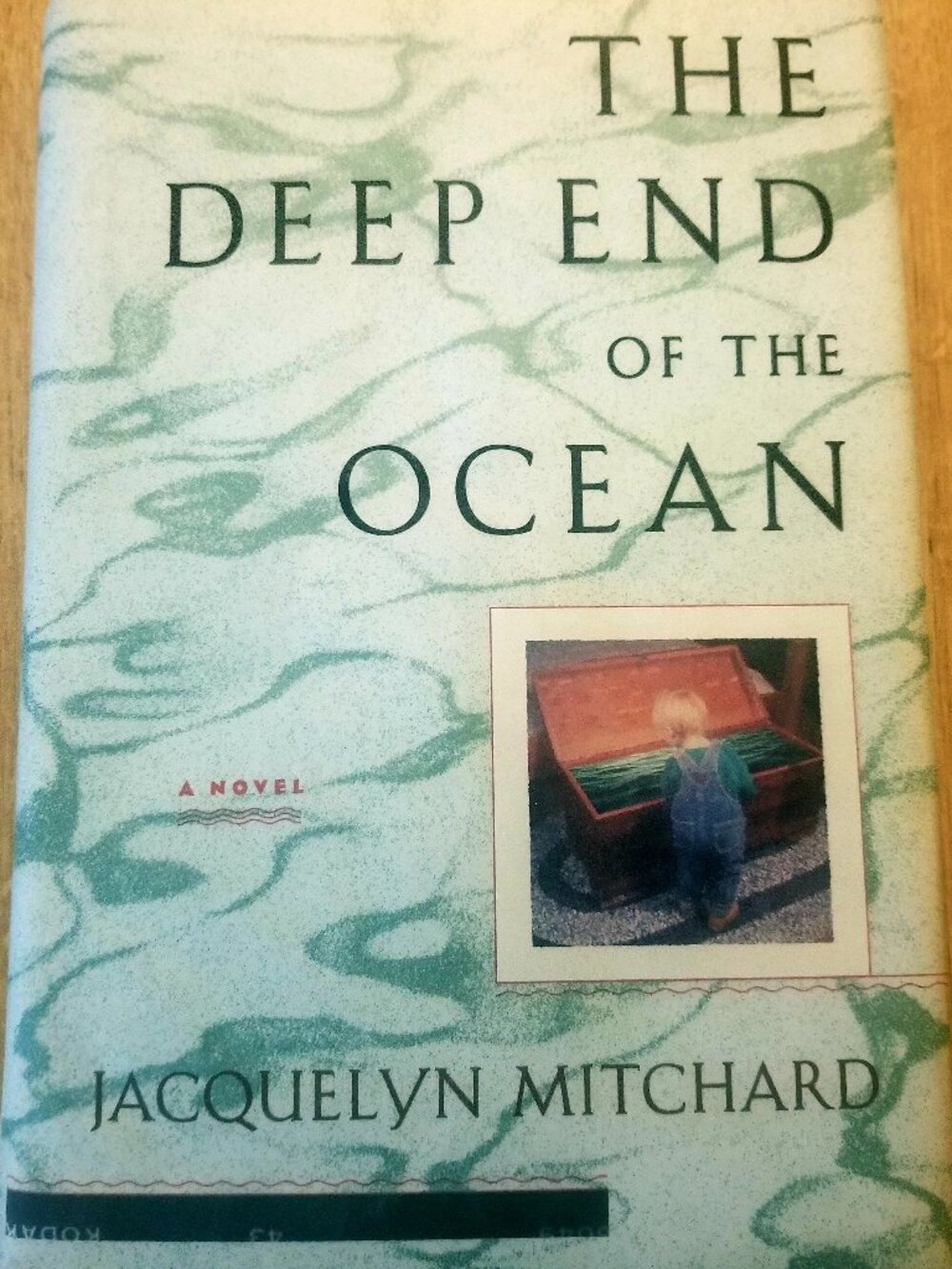 The Deep End of the Ocean by J Mitchard